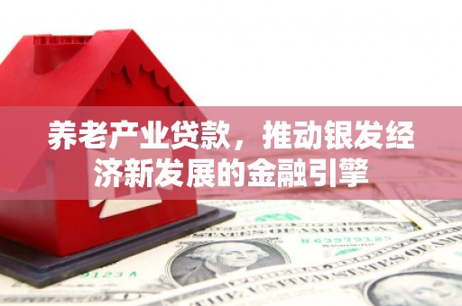 金溪养老产业贷款，推动银发经济新发展的金融引擎