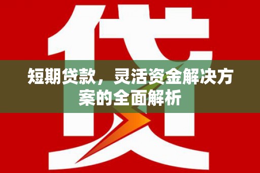 金溪短期贷款，灵活资金解决方案的全面解析