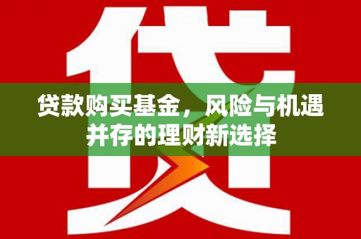 金溪贷款购买基金，风险与机遇并存的理财新选择
