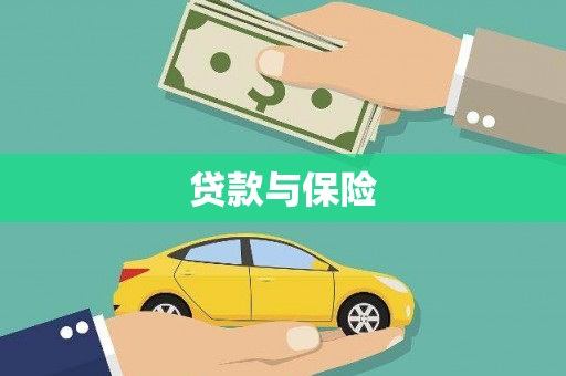 金溪贷款与保险