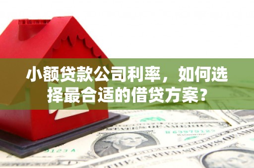 金溪小额贷款公司利率，如何选择最合适的借贷方案？