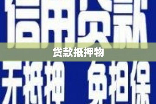金溪贷款抵押物