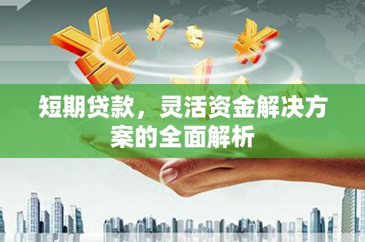 金溪短期贷款，灵活资金解决方案的全面解析