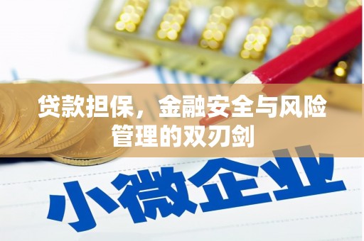 金溪贷款担保，金融安全与风险管理的双刃剑