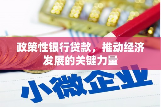 金溪政策性银行贷款，推动经济发展的关键力量