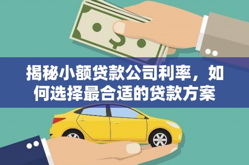 金溪揭秘小额贷款公司利率，如何选择最合适的贷款方案