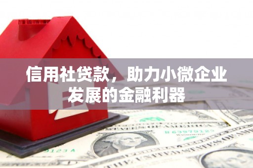 金溪信用社贷款，助力小微企业发展的金融利器