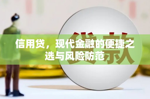 金溪信用贷，现代金融的便捷之选与风险防范