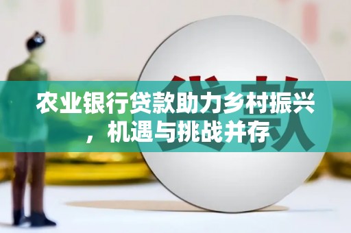 金溪农业银行贷款助力乡村振兴，机遇与挑战并存