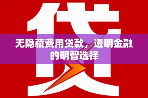 金溪无隐藏费用贷款，透明金融的明智选择