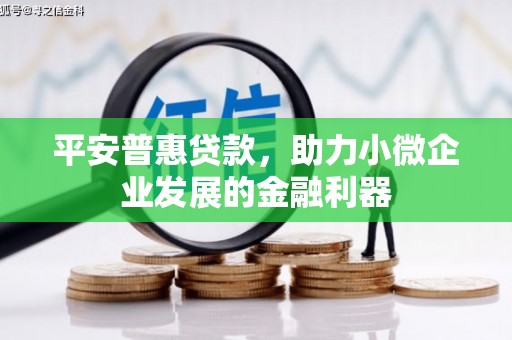 金溪平安普惠贷款，助力小微企业发展的金融利器