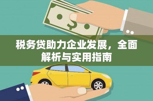 金溪税务贷助力企业发展，全面解析与实用指南
