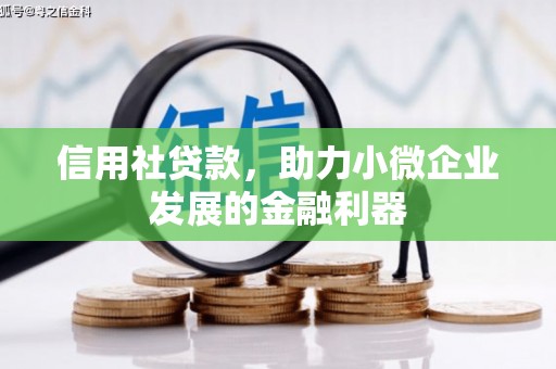 金溪信用社贷款，助力小微企业发展的金融利器