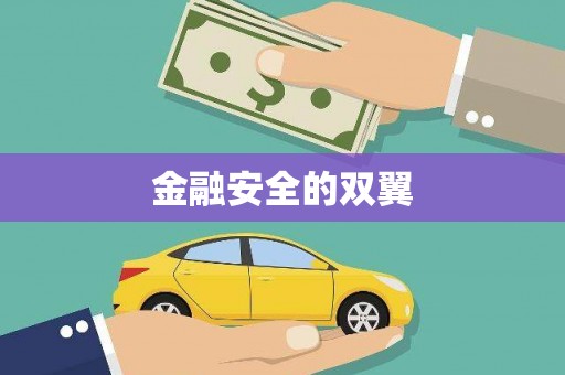 金溪金融安全的双翼