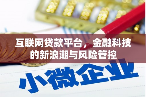 金溪互联网贷款平台，金融科技的新浪潮与风险管控