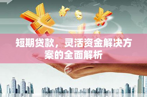 金溪短期贷款，灵活资金解决方案的全面解析