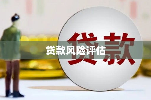 金溪贷款风险评估