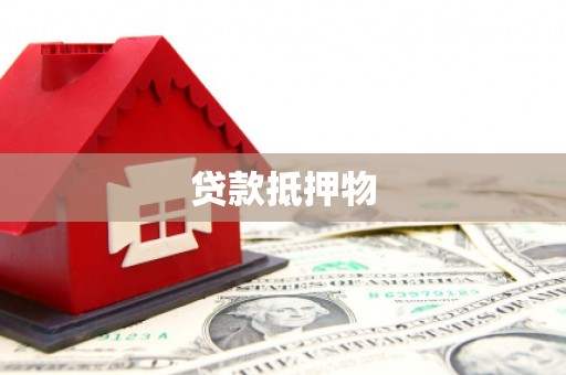 金溪贷款抵押物