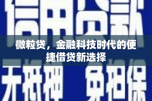 金溪微粒贷，金融科技时代的便捷借贷新选择