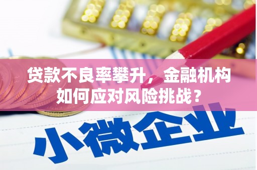 金溪贷款不良率攀升，金融机构如何应对风险挑战？