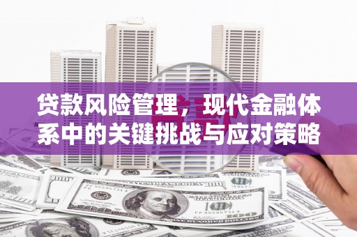 金溪贷款风险管理，现代金融体系中的关键挑战与应对策略
