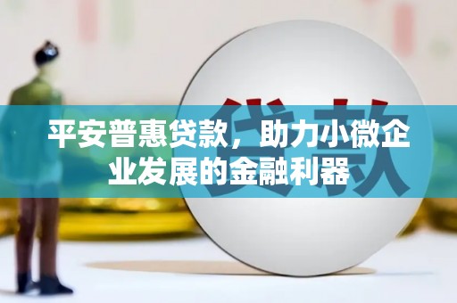 金溪平安普惠贷款，助力小微企业发展的金融利器