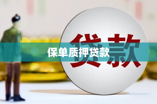 金溪保单质押贷款