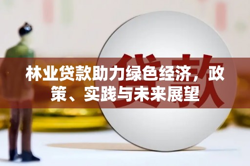 金溪林业贷款助力绿色经济，政策、实践与未来展望