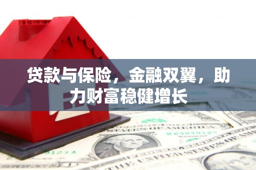 金溪贷款与保险，金融双翼，助力财富稳健增长