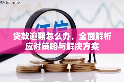 金溪贷款逾期怎么办，全面解析应对策略与解决方案