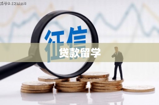 金溪贷款留学