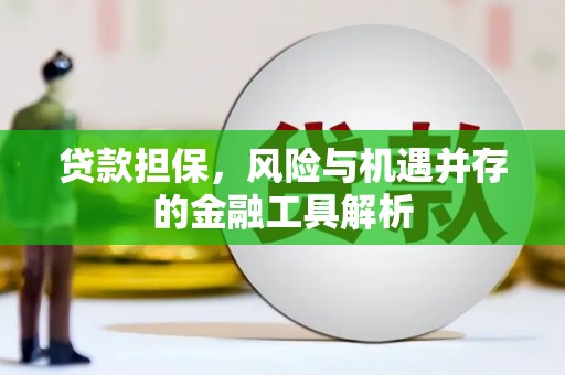 金溪贷款担保，风险与机遇并存的金融工具解析