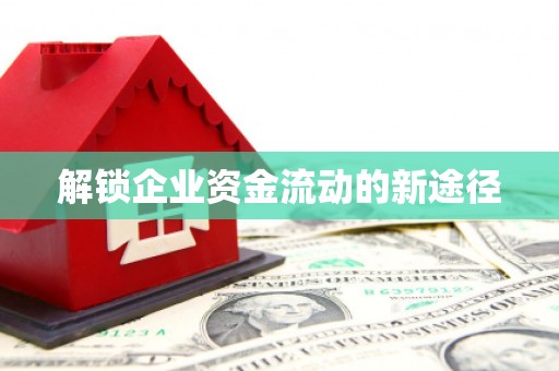 金溪解锁企业资金流动的新途径