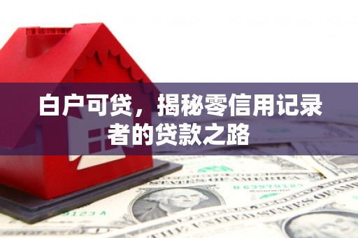 金溪白户可贷，揭秘零信用记录者的贷款之路
