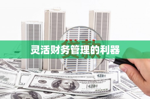 金溪灵活财务管理的利器