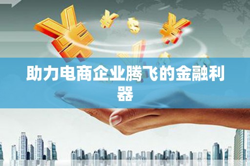 金溪助力电商企业腾飞的金融利器