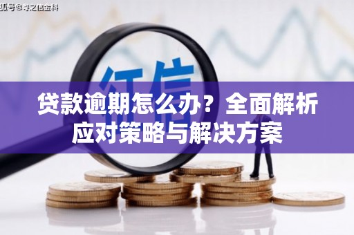金溪贷款逾期怎么办？全面解析应对策略与解决方案