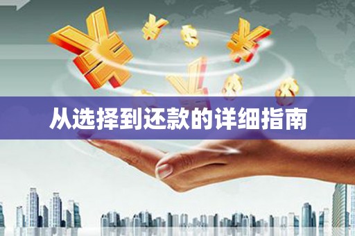 金溪从选择到还款的详细指南