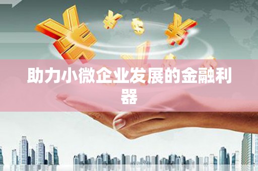 金溪助力小微企业发展的金融利器
