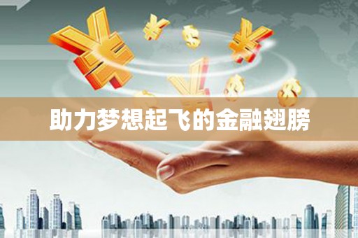 金溪助力梦想起飞的金融翅膀