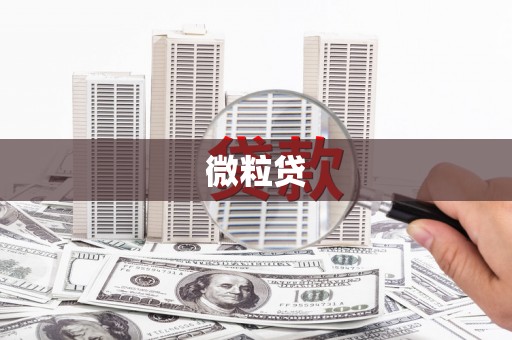 金溪微粒贷
