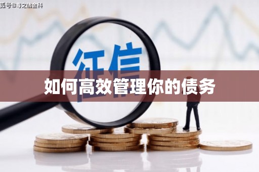 金溪如何高效管理你的债务