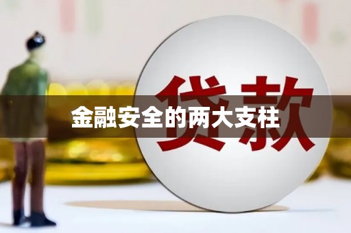 金溪金融安全的两大支柱