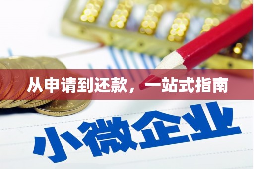 金溪从申请到还款，一站式指南