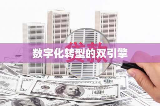 金溪数字化转型的双引擎