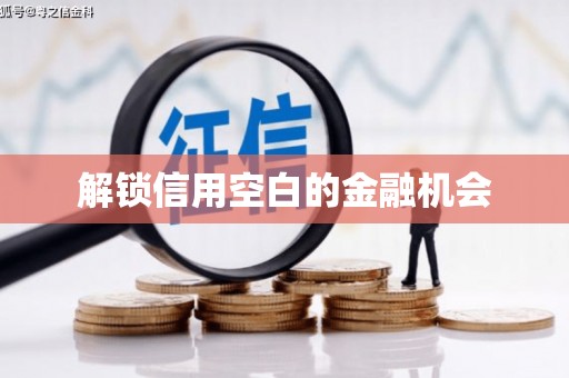 金溪解锁信用空白的金融机会