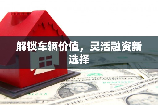 金溪解锁车辆价值，灵活融资新选择