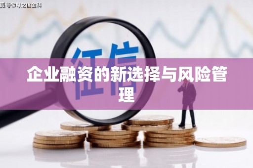 金溪企业融资的新选择与风险管理