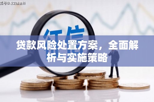 金溪贷款风险处置方案，全面解析与实施策略
