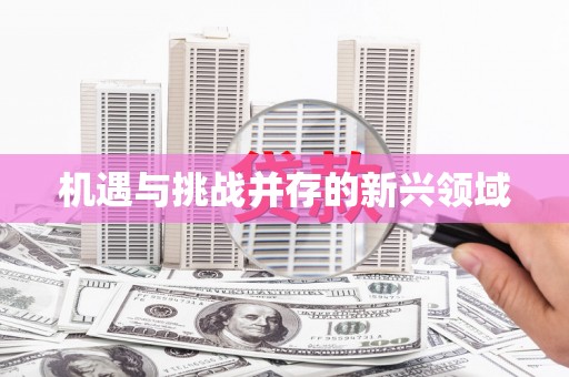 金溪机遇与挑战并存的新兴领域